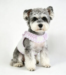 Purple Cute Puppy Vest Harness Outdoor Walks for Small Breeds